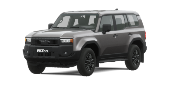 Vehicle View