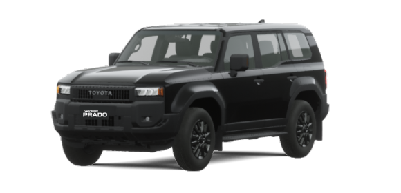 Vehicle View